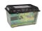 Lucky Reptile Pet Box