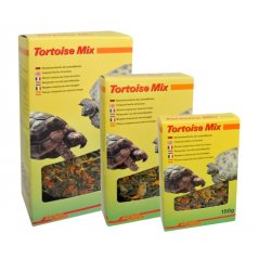 Lucky Reptile Tortoise Mix