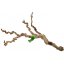 Lucky Reptile Grapevine Premium - Varianta: 40-70 cm
