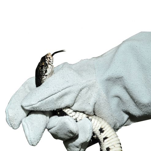 Ochranné rukavice Lucky Reptile - Varianta: levá
