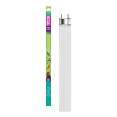 Arcadia Bird Lamp T8