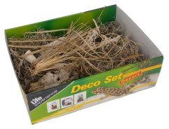 Lucky Reptile Deco Set