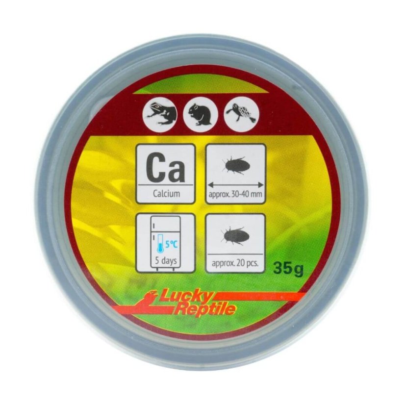 Lucky Reptile Herp Diner – švábi velcí 35 g