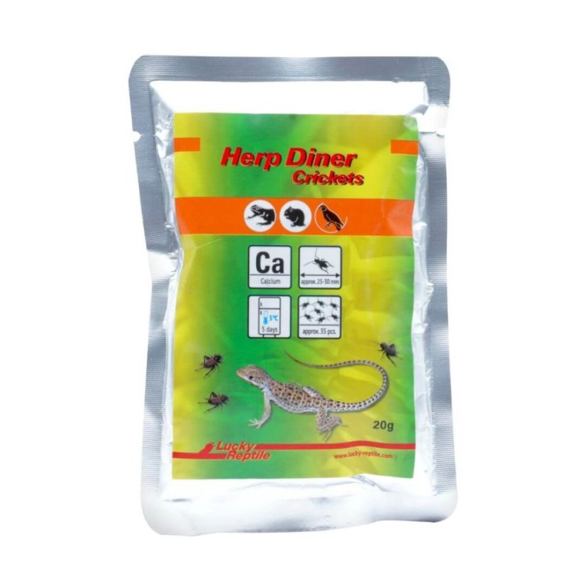 Lucky Reptile Herp Diner – svrčky