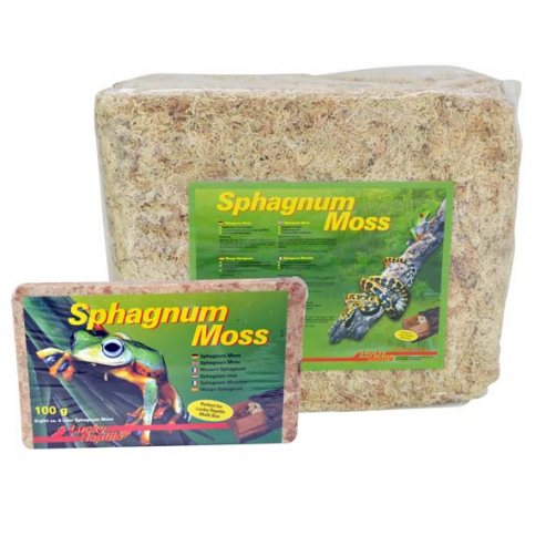 Lucky Reptile Sphagnum Moss - rašeliník