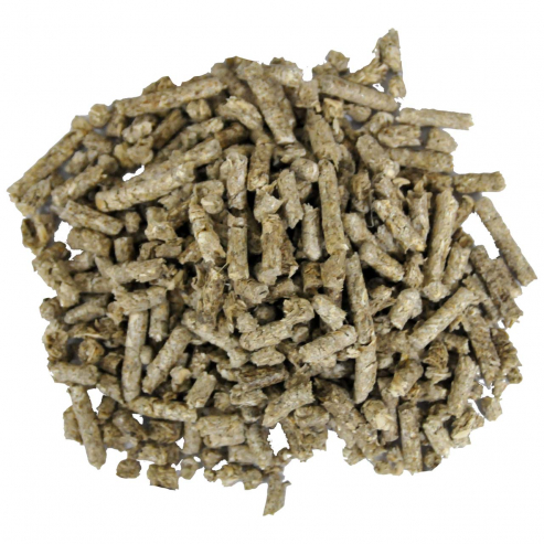 Lucky Reptile Cannabis Bedding 4l