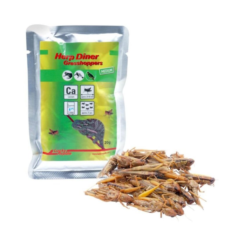 Lucky Reptile Herp Diner - sarančatá - Varianta: Sarančata velké 35g