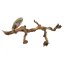 Lucky Reptile Grapevine - Varianta: XL 60-90 cm