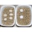 Lucky Reptile Vermiculite – použitie pri inkubácii vajec
