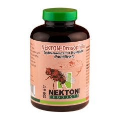 NEKTON Drosophila