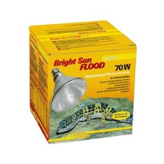 Lucky Reptile Bright Sun FLOOD Desert 70W