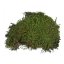 Lucky Reptile Vivarium Moss 150 g - prírodný mach do terária