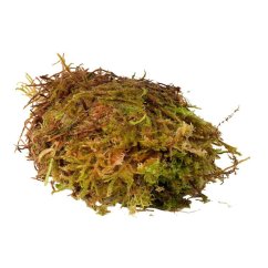 HabiStat Sphagnum Moss
