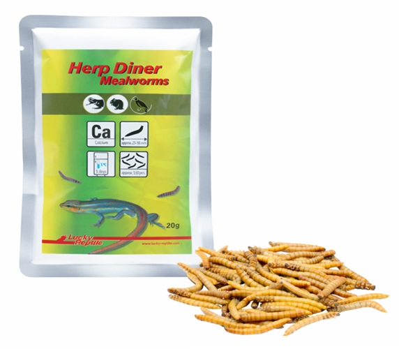 Lucky Reptile Herp Diner - mouční červi - Varianta: Mouční červi 35g