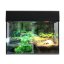 Lucky Reptile Starter Kit Bombina + Ceratophrys - Varianta: 50x28x40 cm černé