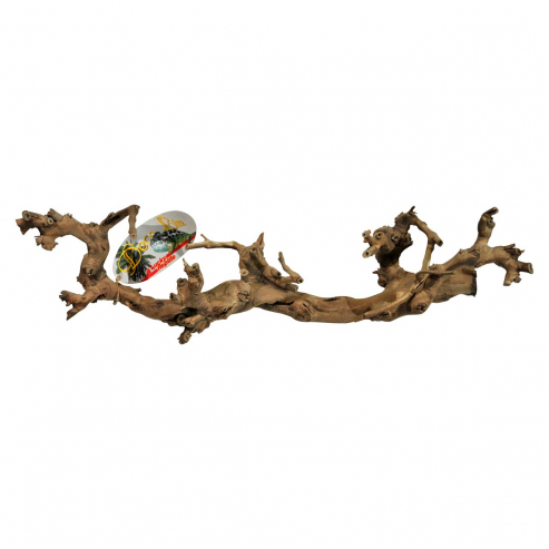 Lucky Reptile Grapevine - Varianta: XL 60-90 cm