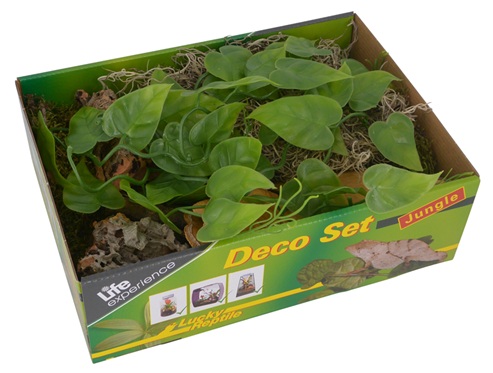 Lucky Reptile Deco Set - Varianta: Desert
