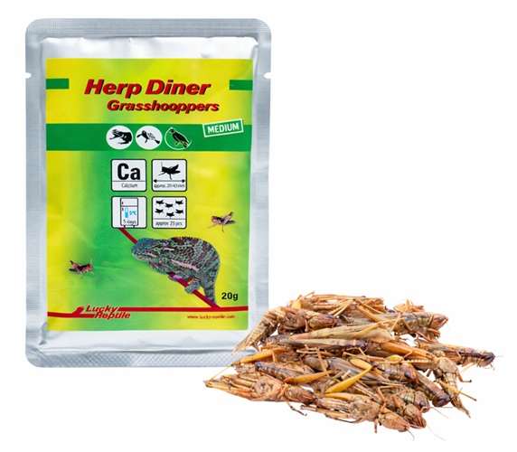 Lucky Reptile Herp Diner - sarančata - Varianta: Sarančata střední 35g