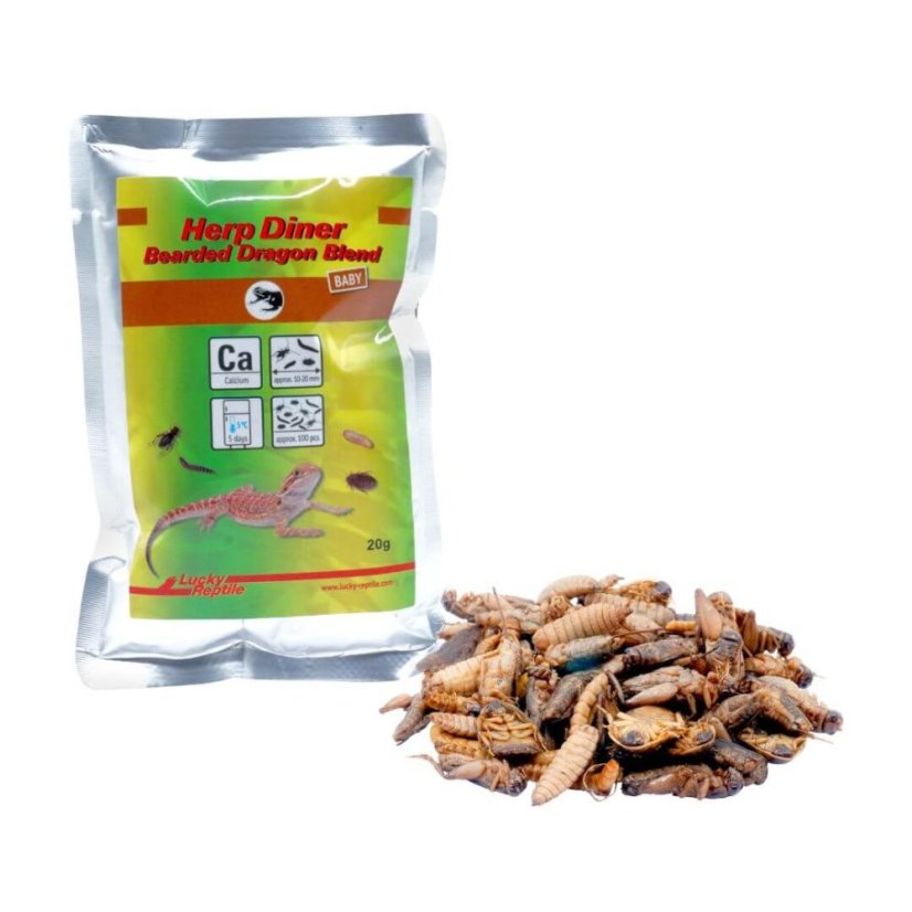 Lucky Reptile Herp Diner Bearded Dragon Blend Baby 20 g