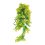 Lucky Reptile Turtle Plants - Varianta: Horn Fern cca 40 cm