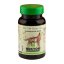 Nekton Biotic Dog 40g