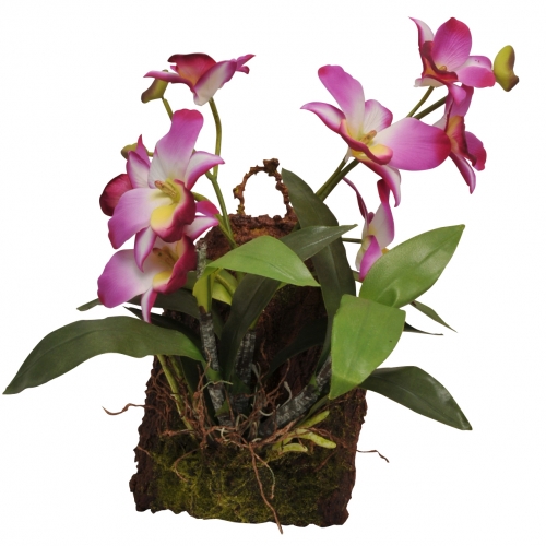 Lucky Reptile Jungle Plants kvetoucí - Varianta: Závěsná orchidej - purpurová cca 20x30 cm Lucky Reptile Jungle Plants kvetoucí - Varianta: Závěsná orchidej - purpurová cca 20x30 cm