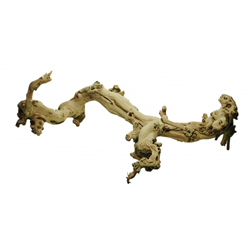 Lucky Reptile Grapevine - Varianta: XL 60-90 cm