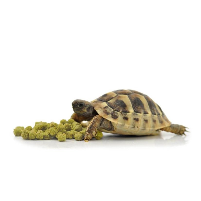 HabiStat Tortoise Food Banana -želva a granule