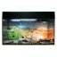 Lucky Reptile Starter Kit Leopard Gecko