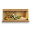 HabiStat Standard Vivarium - dub HabiStat Standard Vivarium - dub