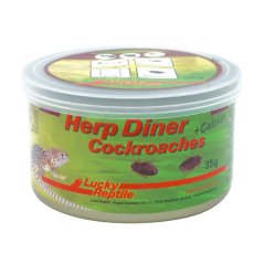 Lucky Reptile Herp Diner – švábi velcí 35 g