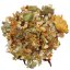 Lucky Reptile Bearded Dragon Mix - Varianta: Adult 35g