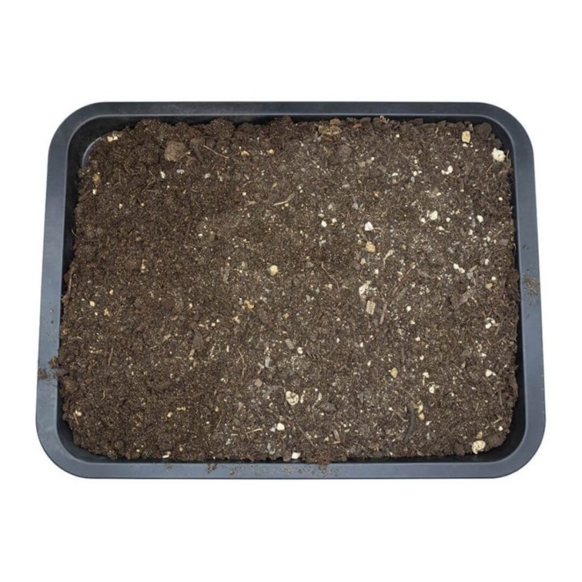 Arcadia Earth Mix - Prairie 10l