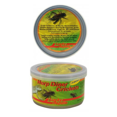 Lucky Reptile Herp Diner - cvrčci - Varianta: Cvrčci malí 35g