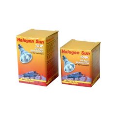 Lucky Reptile Halogen Sun