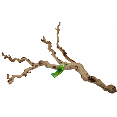 Lucky Reptile Grapevine Premium - Varianta: 40-70 cm