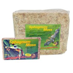 Lucky Reptile Sphagnum Moss - rašeliník