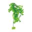 Lucky Reptile Turtle Plants - Varianta: Horn Fern cca 40 cm