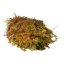 HabiStat Sphagnum Moss - Varianta: 1kg