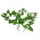Lucky Reptile Jungle Vine - Varianta: Gape Leaf Vine cca 200 cm