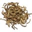 Lucky Reptile Earthworms 10g