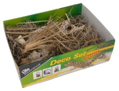 Lucky Reptile Deco Set