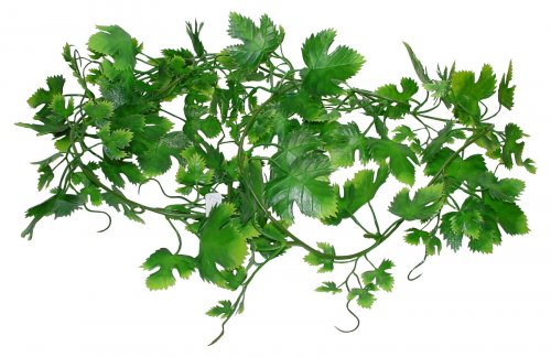 Lucky Reptile Jungle Vine - Varianta: Gape Leaf Vine cca 200 cm