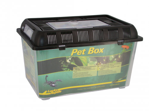 Lucky Reptile Pet Box - Varianta: Pet Box M 32,5x22x21 cm