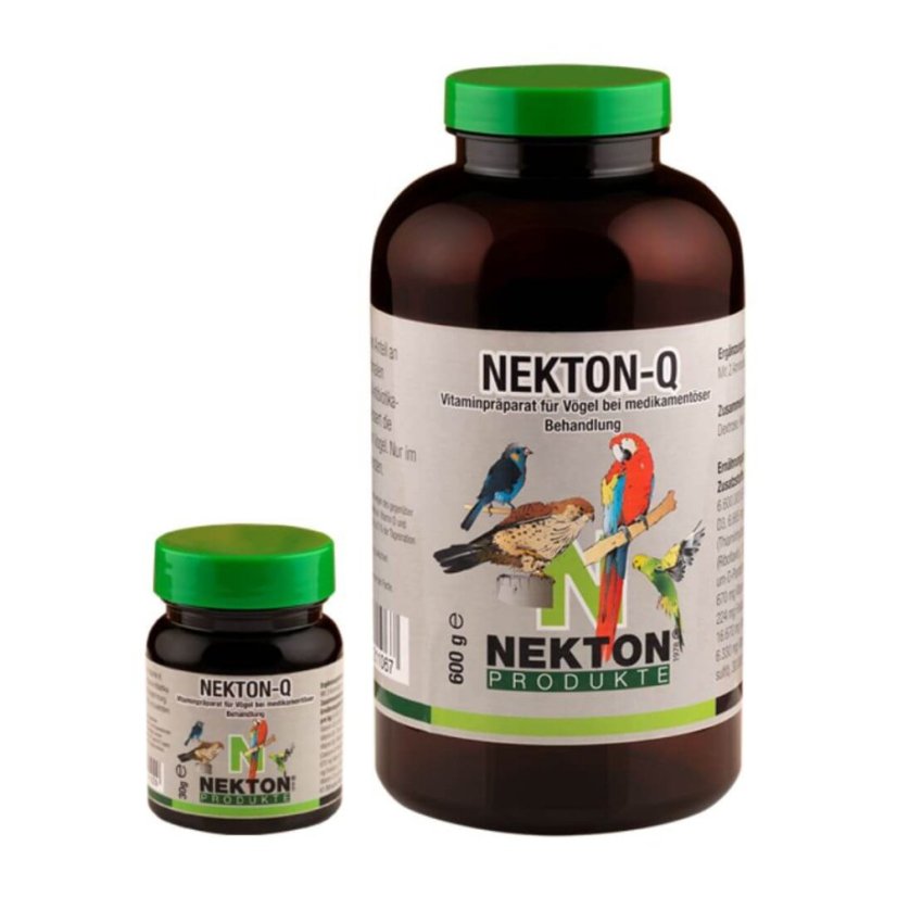 NEKTON Q