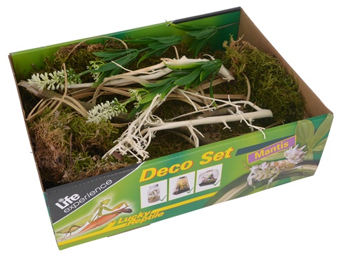 Lucky Reptile Deco Set