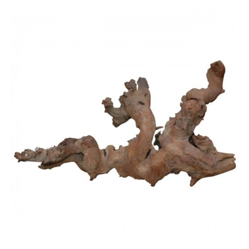 Lucky Reptile Savannenholz – savanní dřevo do terária