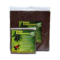 Lucky Reptile Coco pozadí