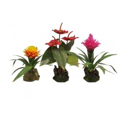 Lucky Reptile Jungle Plants kvitnúce