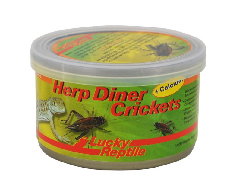 Lucky Reptile Herp Diner - cvrčci - Varianta: Cvrčci velcí 35g